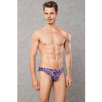 Doreanse 1266 Brief