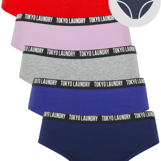 Womens Underwear Zara 13 (5 Pack) Assorted Stretch Cotton Briefs in Beacon Blue / Spectrum Blue / Light Grey Marl / Crocus Petal / High Risk Red / XS - Tokyo Laundry