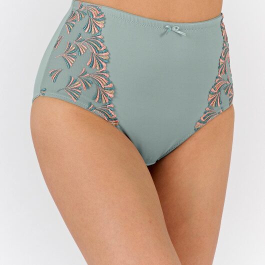 Damart Bella Embroidered Maxi Brief