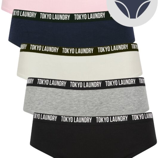 Womens Underwear Zara 21 (5 Pack) Assorted Stretch Cotton Briefs in Peakaboo Pink / Peacoat Blue / Snow White / Light Grey Marl / Jet Black / XS - Tokyo Laundry