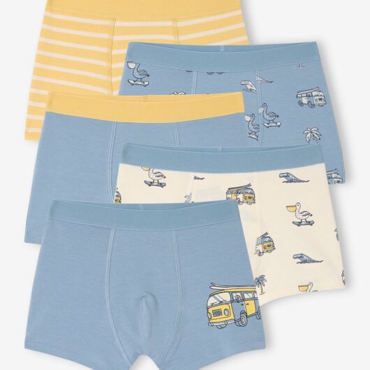 5 pack stretch boxer shorts for boys sky blue
