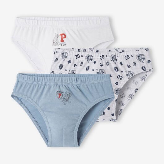Pack of 3 Paw Patrol® Briefs for Boys sky blue