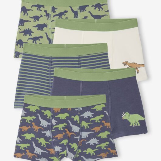 Pack of 5 Dinosaur Boxer Shorts for Boys slate blue