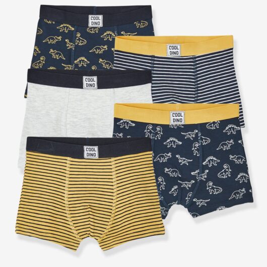 Pack of 5 Stretch Boxer Shorts, Dino, for Boys dark blue/print