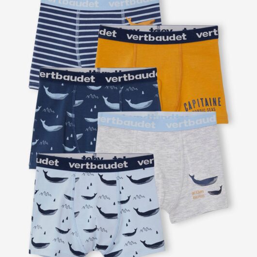 Pack of 5 Stretch Whale Boxer Shorts for Boys blue light all over printed