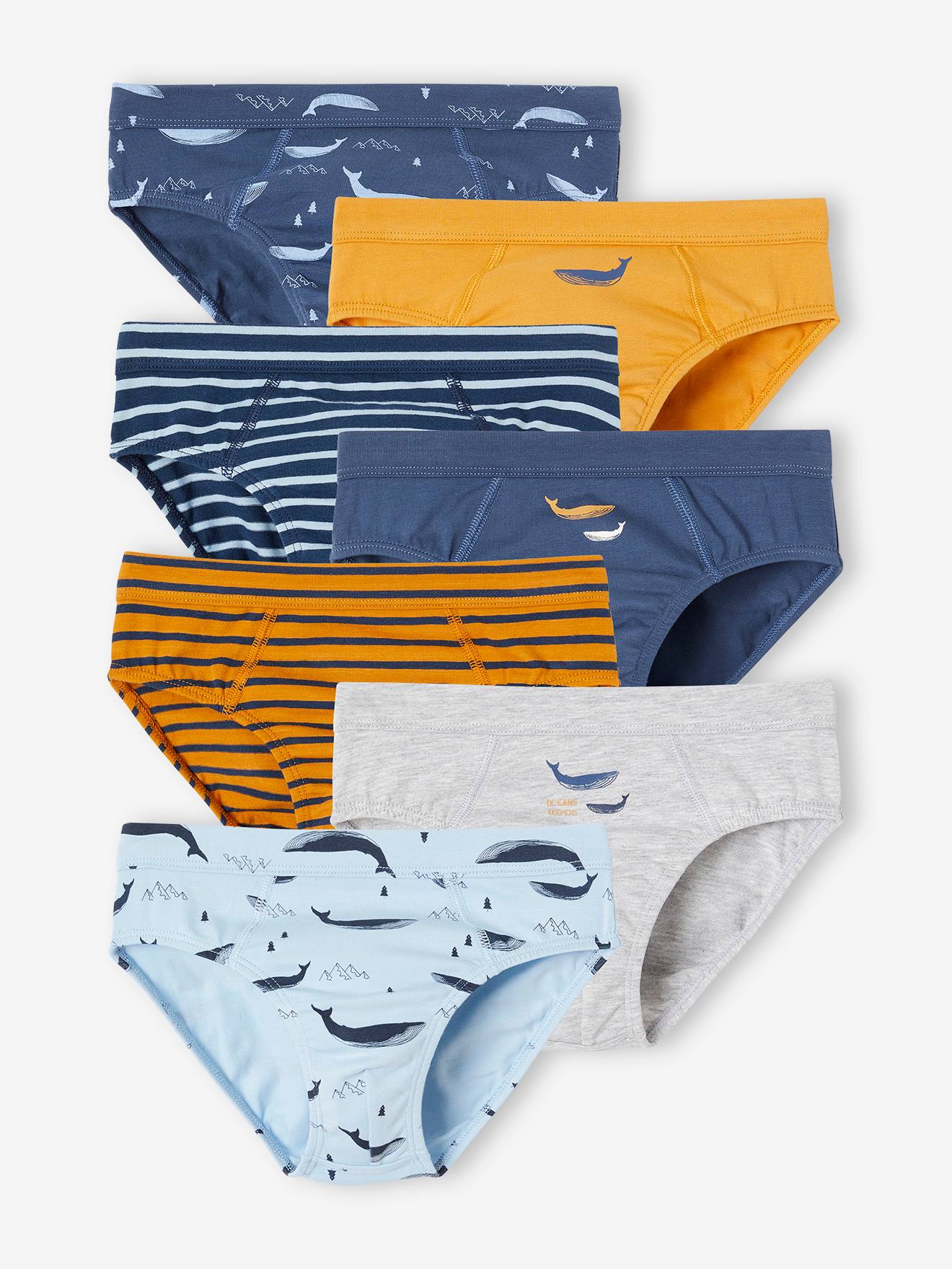 Pack of 7 Whale Briefs in Stretch Organic Cotton for Boys sky blue